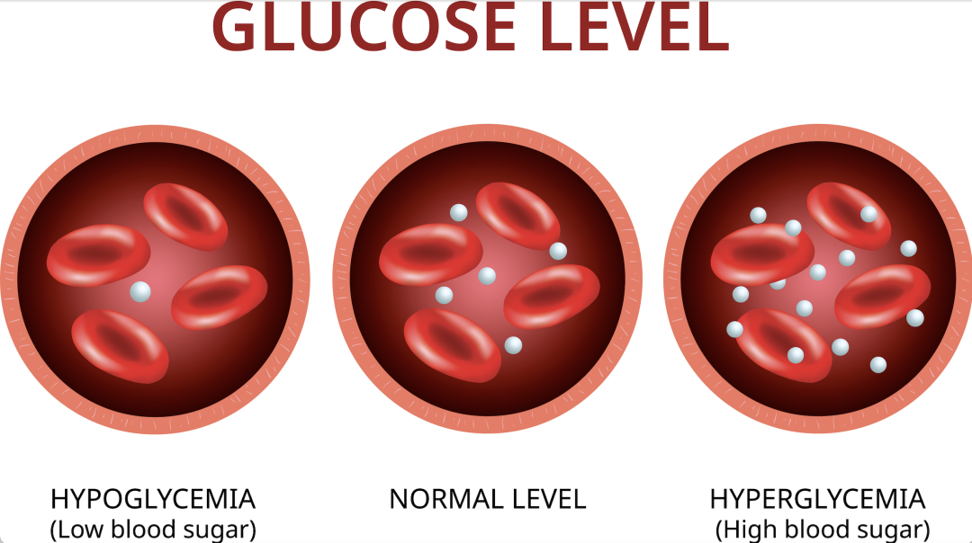 640 (17).png 640 (17).png