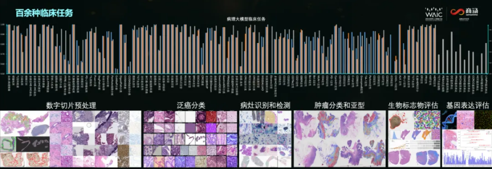 微信圖片_20240717161612.png