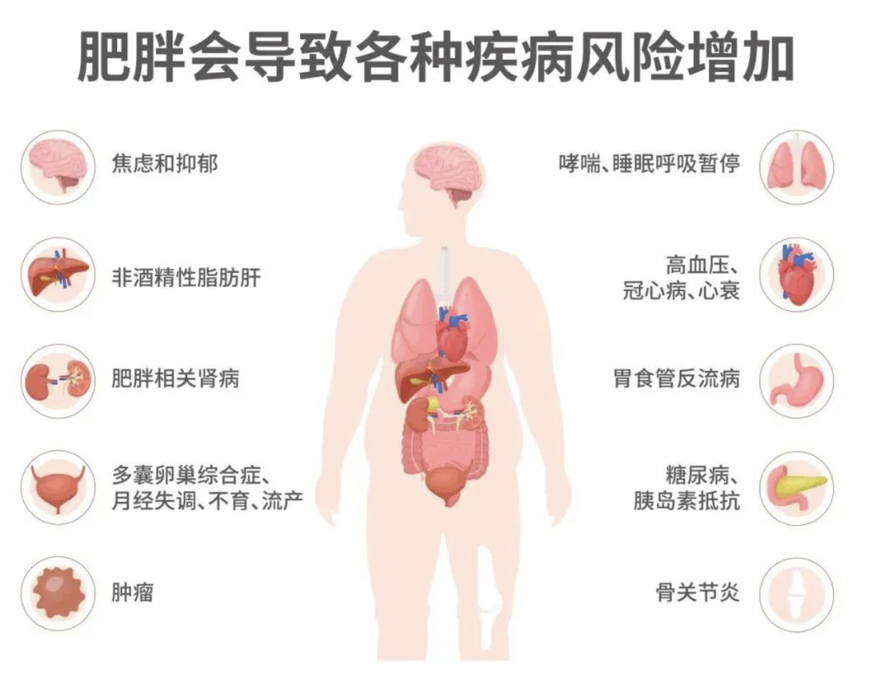 微信圖片_20250619225849.png