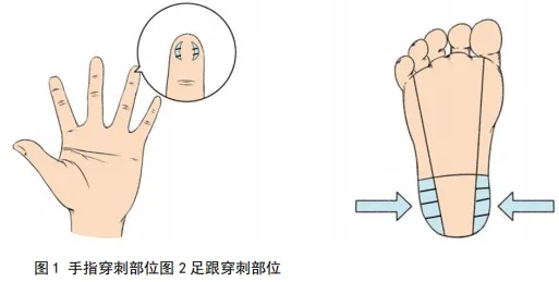微信圖片_20250810230640.jpg