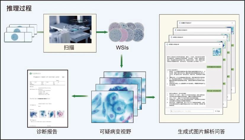 微信圖片_2025-08-18_123717_468.jpg